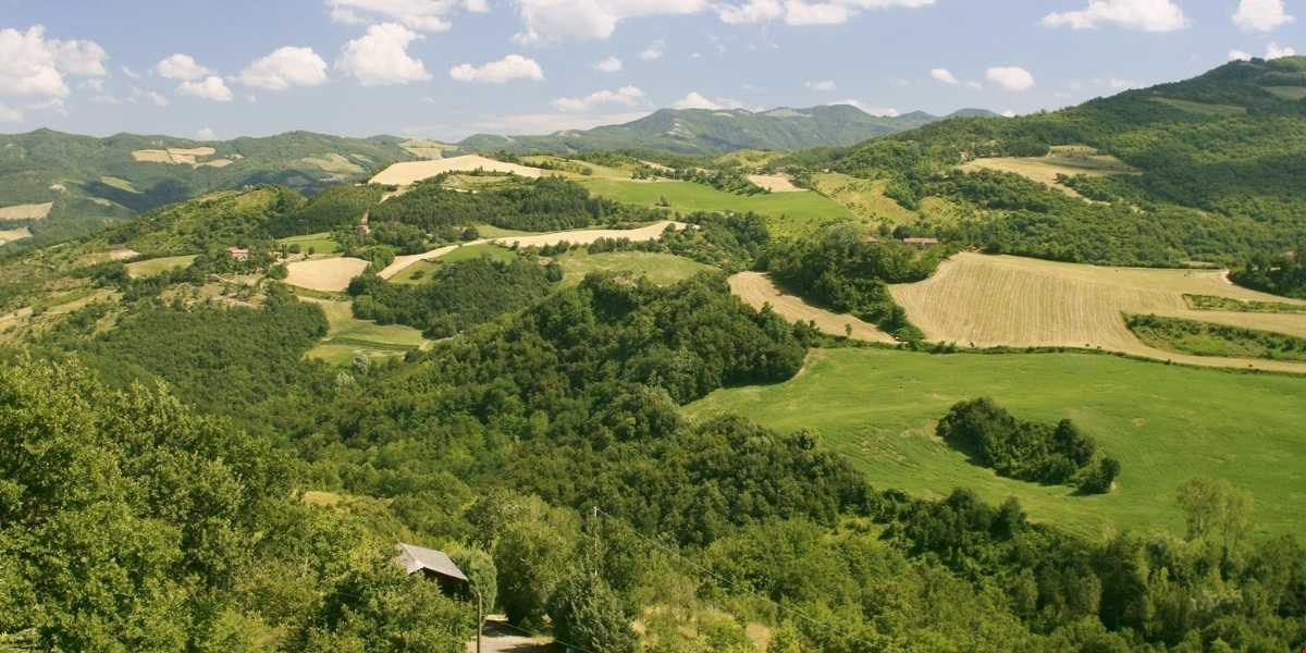 Convegno "Dalla tutela all'azione": strategie di manutenzione per il patrimonio storico nei territori fragili