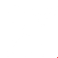 Service icon