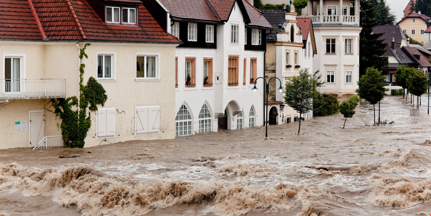 Wasserschadensanierung