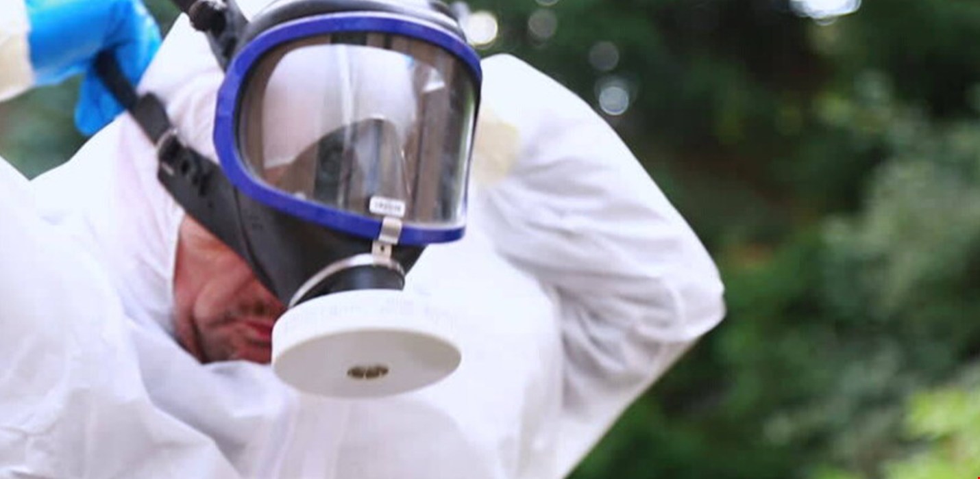 Disinfezione – con le procedure più moderne.
