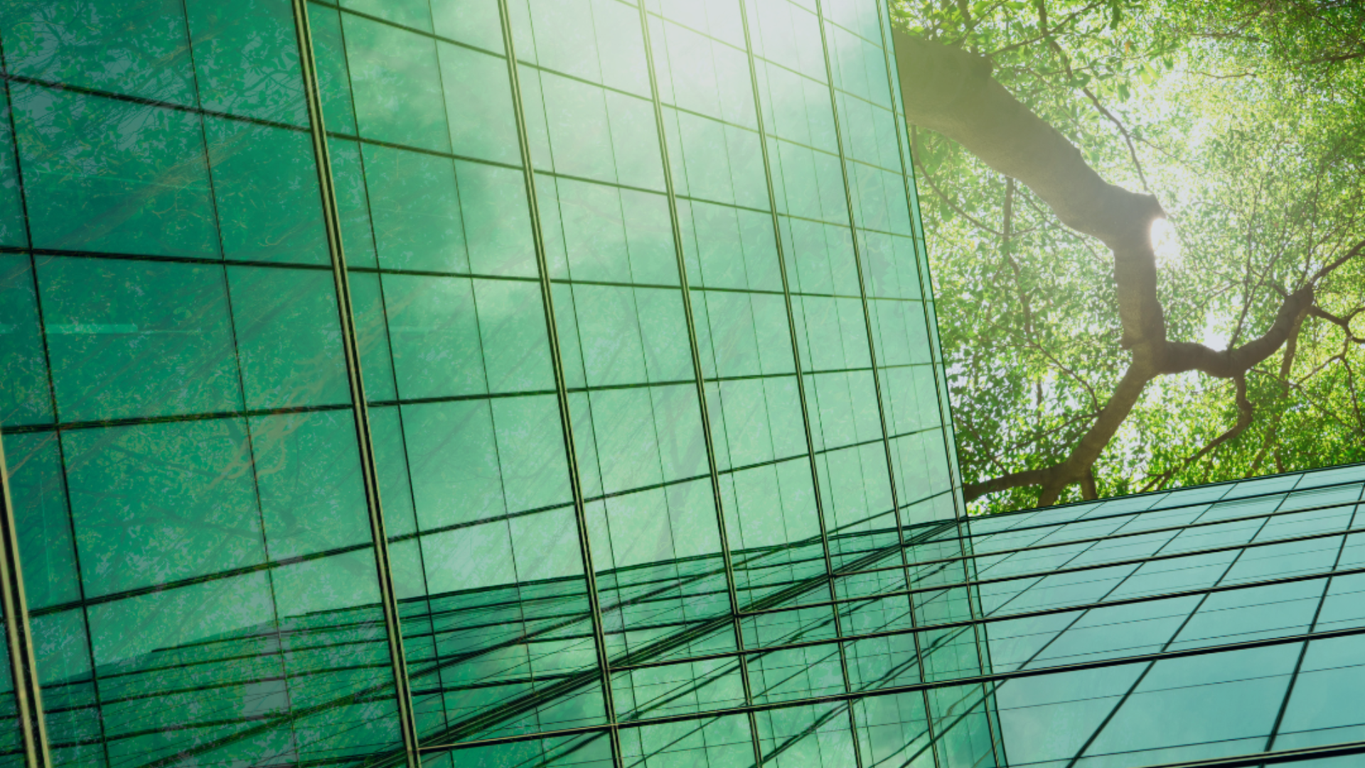 Smart Climate and Monitoring Strategies for High-Rise Construction