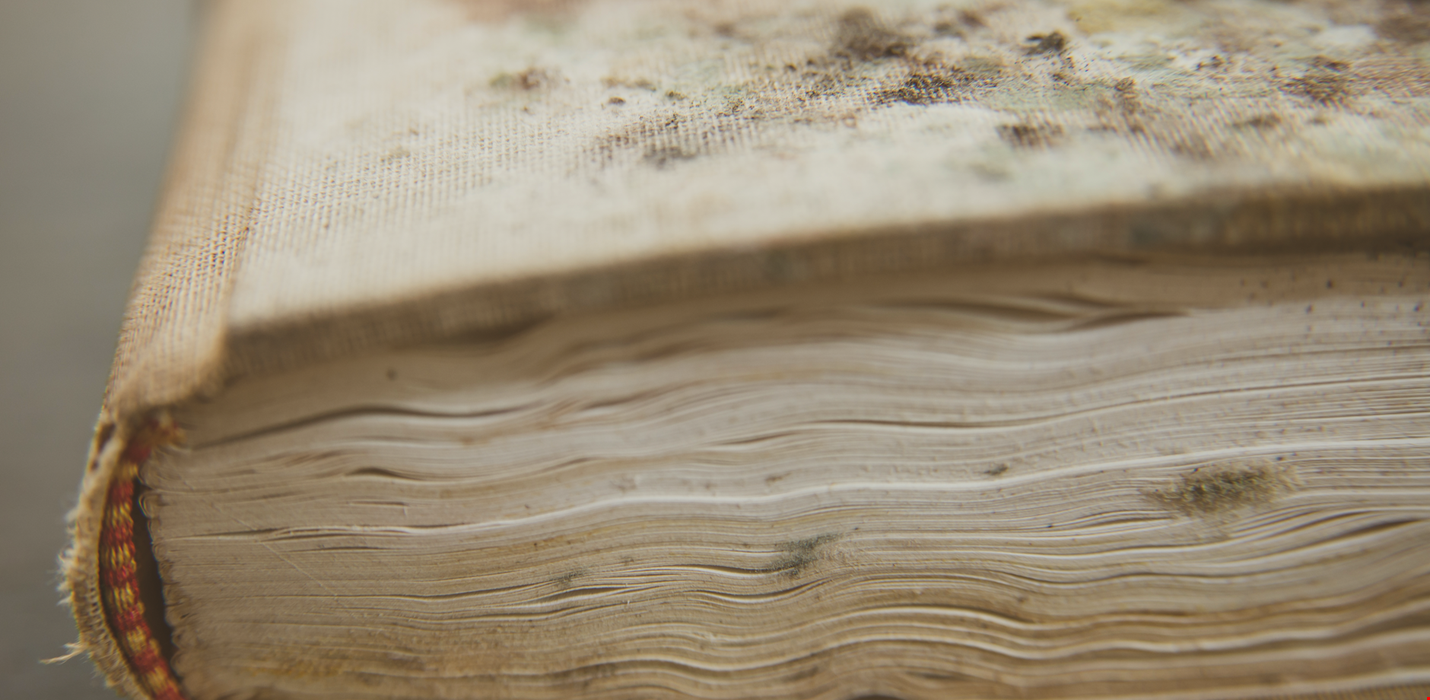 Document Recovery – Five Frequently Asked Questions about Saving Books, Files and Photographs