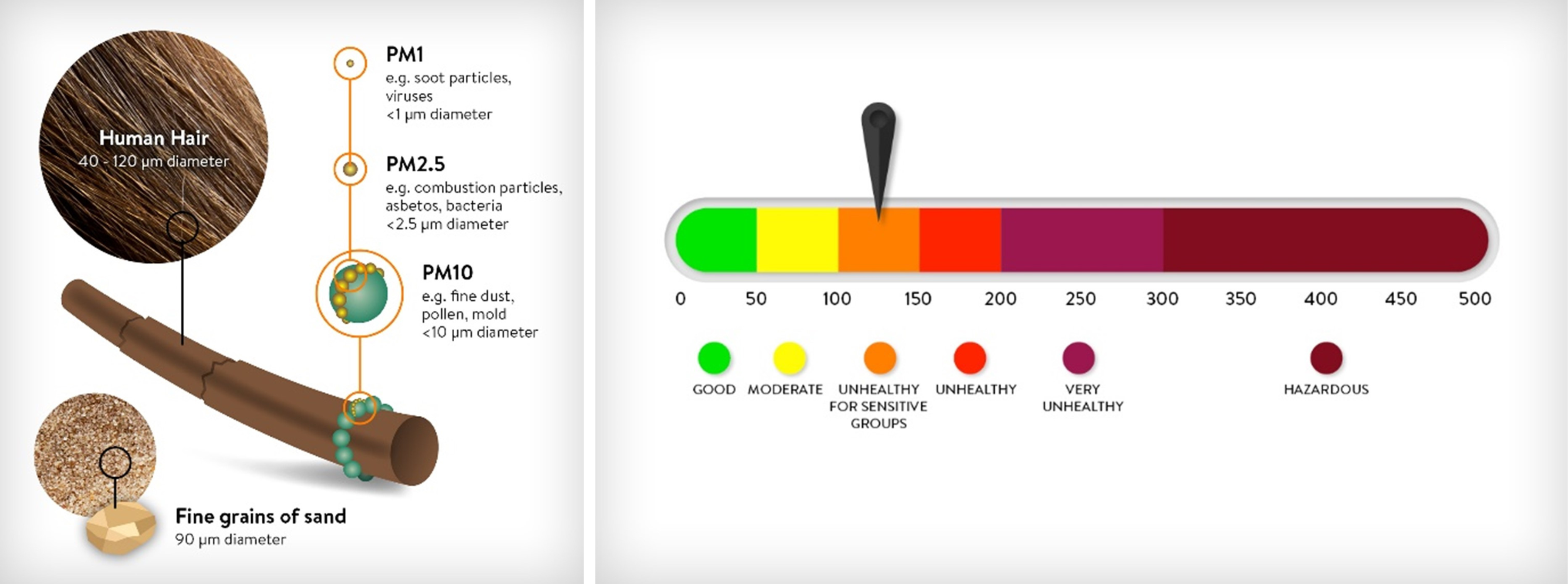 IAQ Job site hair Infographic.png