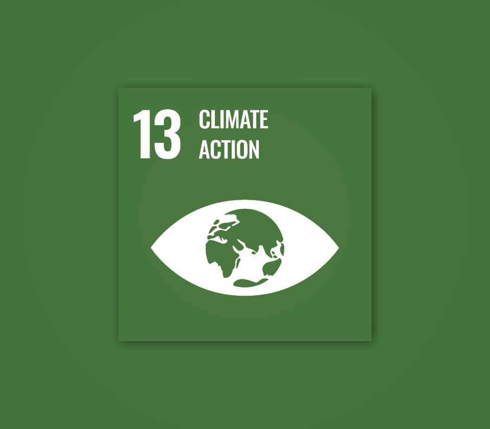 Polygon sustainability goal 13.