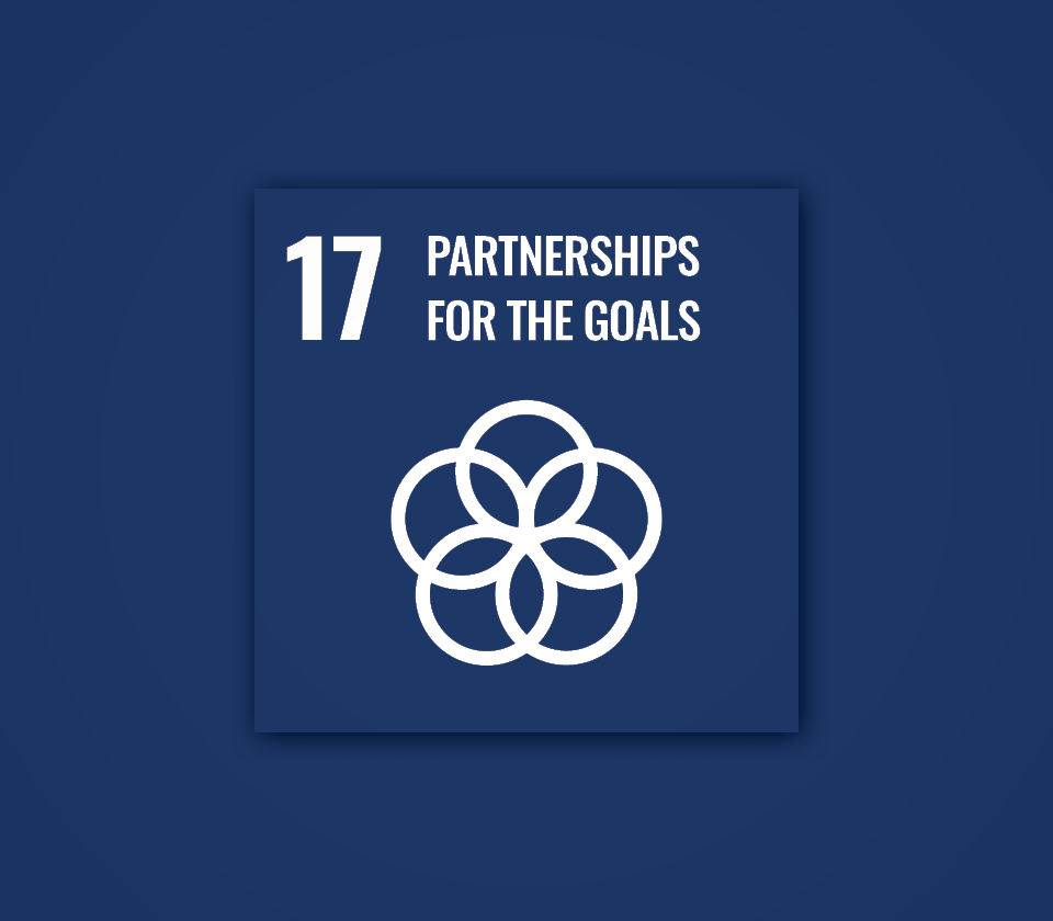 Polygon sustainability goal 17.