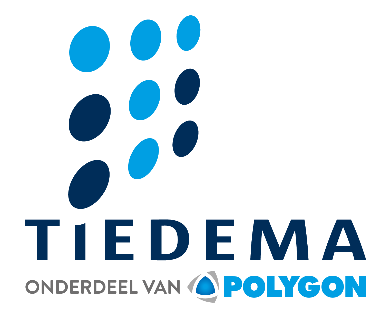 Tiedema logo - Polygon Tiedema logo - Polygon